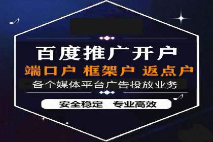 成功企业SEM竞价代运营案例研究